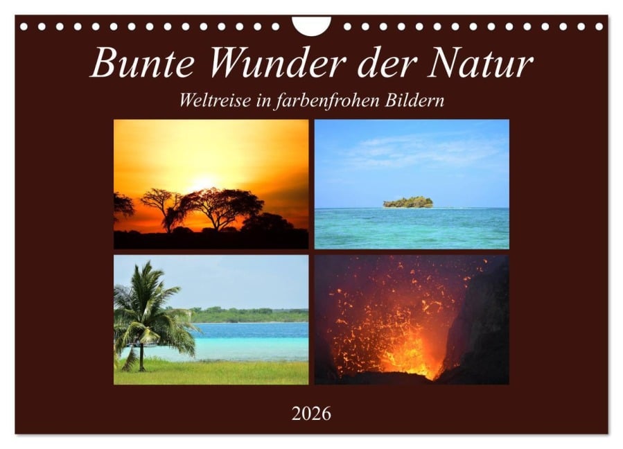 Bunte Wunder der Natur (Wandkalender 2026 DIN A4 quer), CALVENDO Monatskalender - Lisa Steil