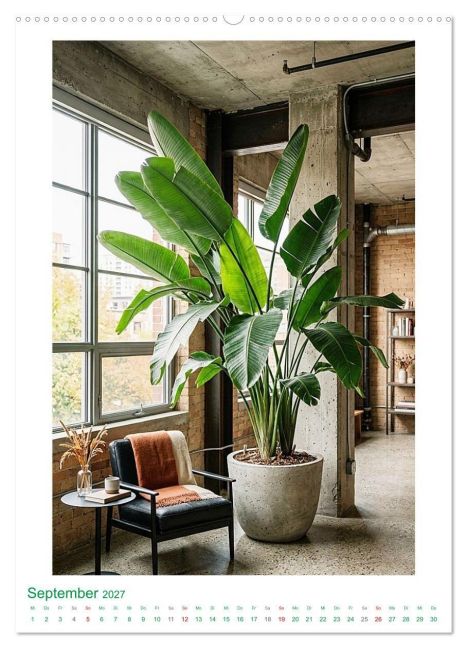 InsideView 14