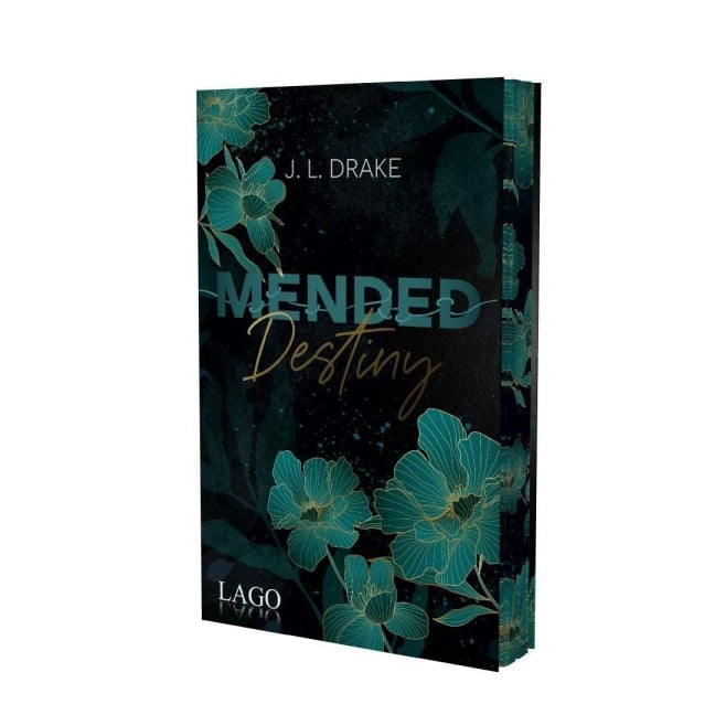 Mended Destiny (Broken-Trilogie, Bd. 3) - J. L. Drake