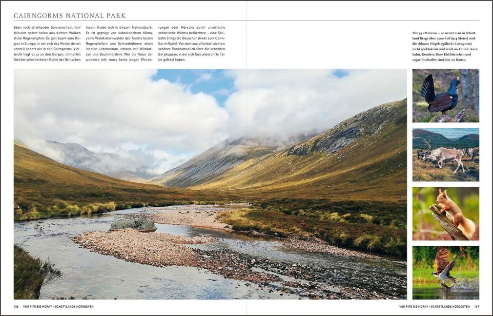 InsideView 7