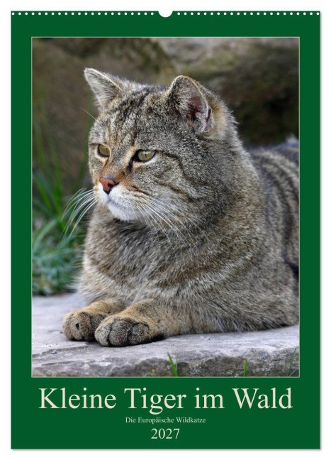 Kleine Tiger im Wald (Wandkalender 2027 DIN A2 hoch), CALVENDO Monatskalender - Roland Brack