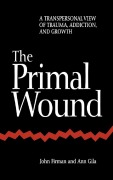 Cover-Bild zum Titel 'The Primal Wound' von 'John Firman, Ann Gila'