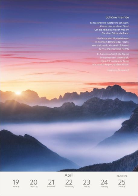 InsideView 12