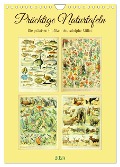 Prächtige Naturtafeln (Wandkalender 2025 DIN A4 hoch), CALVENDO Monatskalender - Steffani Lehmann (Hrsg.