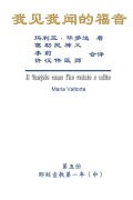 Cover-Bild zum Titel 'The Gospel As Revealed to Me (Vol 5) - Simplified Chinese Edition' von 'Maria Valtorta, Hon-Wai Hui, ¿¿¿'
