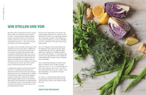 InsideView 2