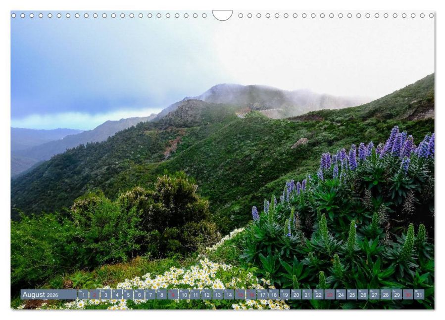 InsideView 13