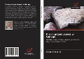 Cover-Bild zum Titel 'Praca przymusowa w Gu¿agu' von 'Sergey Shevyrin'