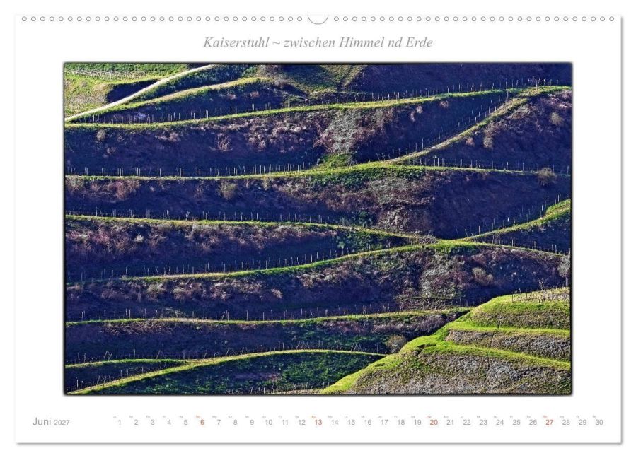 InsideView 10