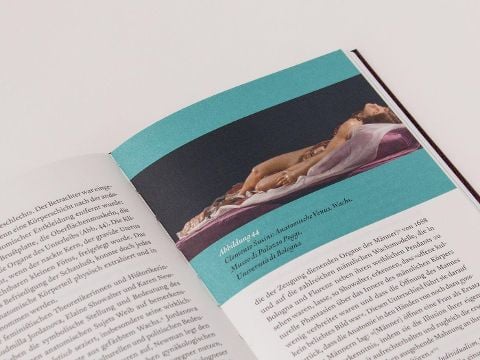 InsideView 7