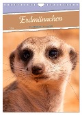 Erdmännchen - Eine Kolonie in der Kalahari (Wandkalender 2024 DIN A4 hoch), CALVENDO Monatskalender - Dorothea Früh