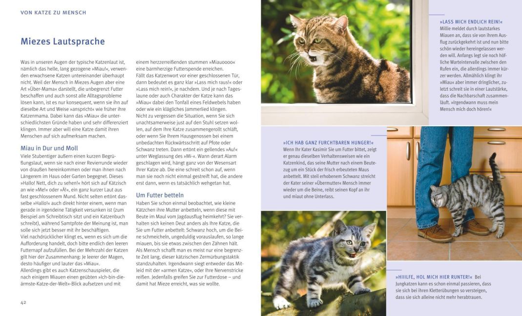 InsideView 5