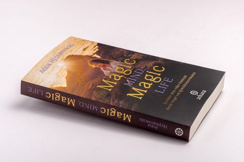 InsideView 2