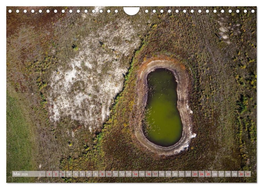 InsideView 10