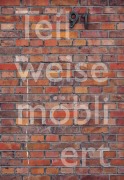 Cover-Bild zum Titel 'Teilweise möbliert, exzellente Aussicht. Ortsspezifische Kunst für Haus Lange' von ''