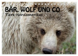 Bär, Wolf und Co - Tiere Nordamerikas (Tischkalender 2026 DIN A5 quer), CALVENDO Monatskalender - Ursula Salzmann