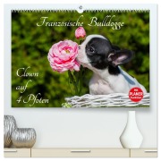 Cover-Bild zum Titel 'Französische Bulldogge - Clown auf 4 Pfoten (hochwertiger Premium Wandkalender 2026 DIN A2 quer), Kunstdruck in Hochglanz' von 'Sigrid Starick'