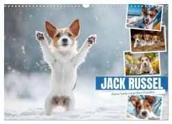 Cover-Bild zum Titel 'JACK RUSSEL - Kleine Hunde mit großem Charakter (Wandkalender 2026 DIN A3 quer), CALVENDO Monatskalender' von 'Mb Fotografie'