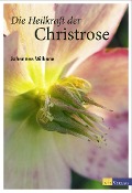 Cover-Bild zum Titel 'Die Heilkraft der Christrose' von 'Johannes Wilkens'