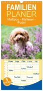 Cover-Bild zum Titel 'Familienplaner 2027 - Maltipoo - Malteser -Pudel mit 5 Spalten (Wandkalender, 21 x 45 cm) CALVENDO' von 'Heidi Bollich www. heidi-bollich. de'