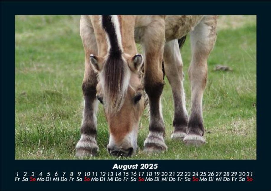 InsideView 12
