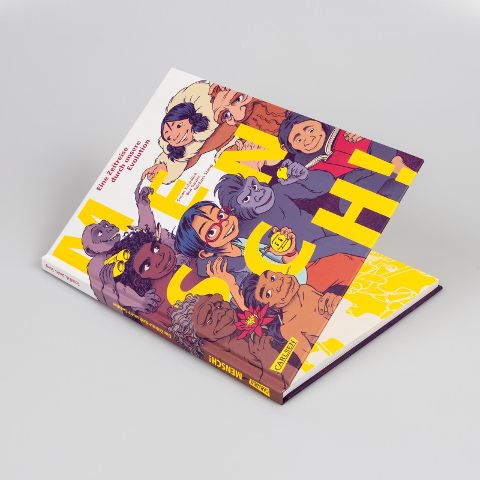 InsideView 2