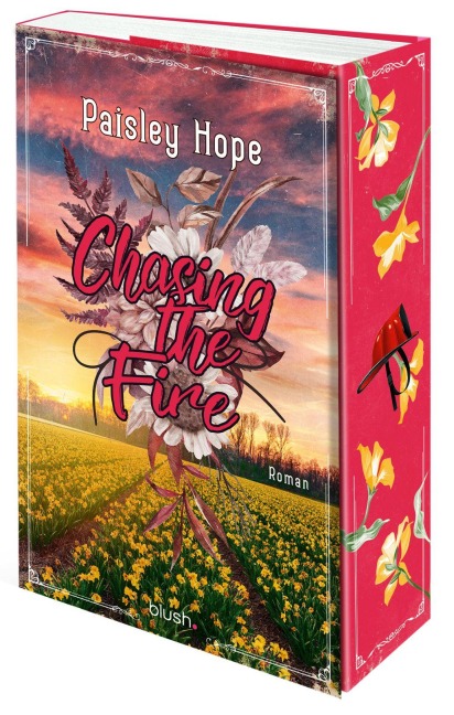 Chasing The Fire - Paisley Hope