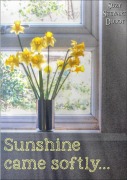 Cover-Bild zum Titel 'Sunshine Came Softly...' von 'Suzy Stewart Dubot'