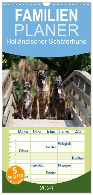 Familienplaner 2024 - Holländischer Schäferhund mit 5 Spalten (Wandkalender, 21 x 45 cm) CALVENDO - Fotodesign Verena Scholze