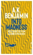 Cover-Bild zum Titel 'Into madness' von 'A. K. Benjamin'