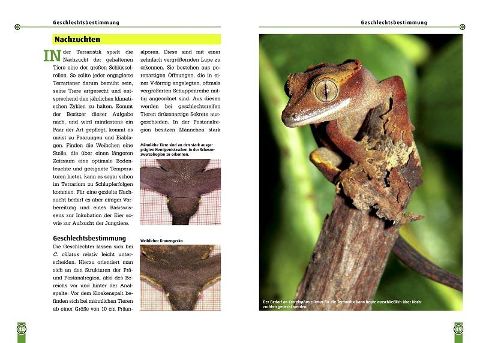InsideView 3