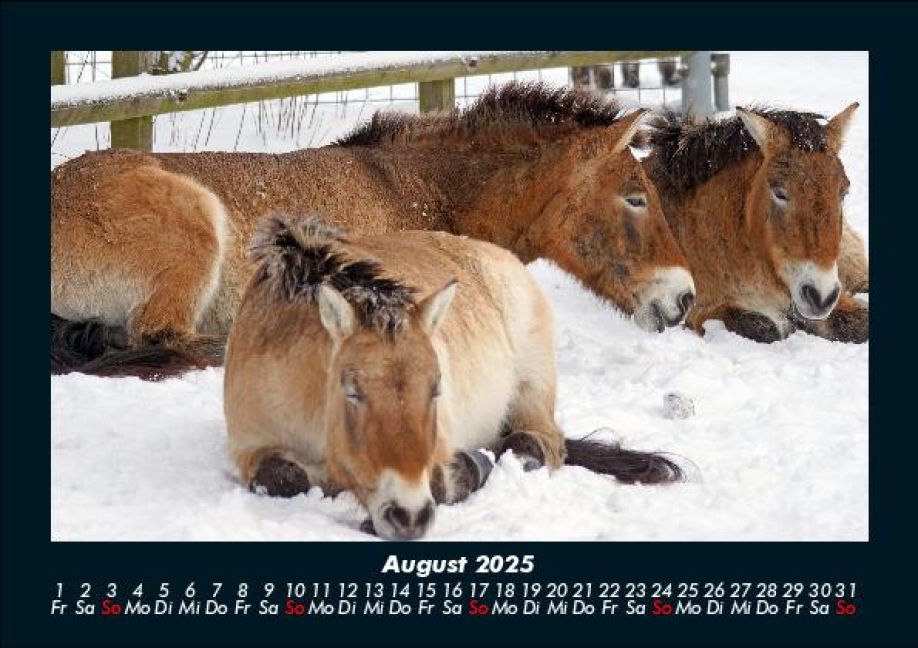 InsideView 12