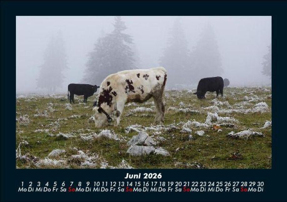 InsideView 10