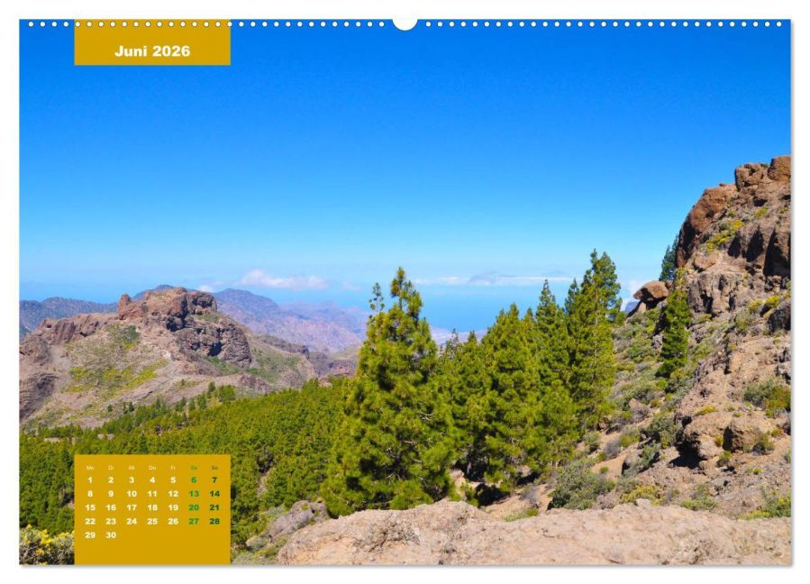 InsideView 10