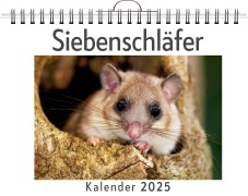 Cover-Bild zum Titel 'Siebenschläfer' von 'Luisa Schmitz'