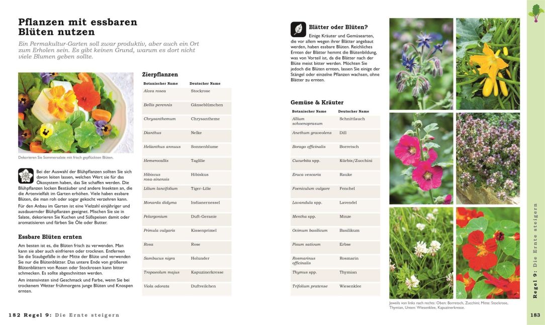 InsideView 7