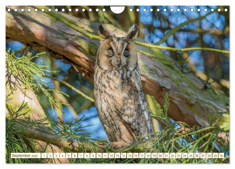 InsideView 14