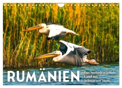 Cover-Bild zum Titel 'Rumänien - Das beeindruckende Land am Schwarzen Meer. (Wandkalender 2026 DIN A4 quer), CALVENDO Monatskalender' von 'Sf Sf'