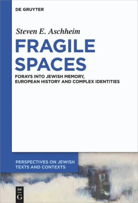 Fragile Spaces - Steven E. Aschheim