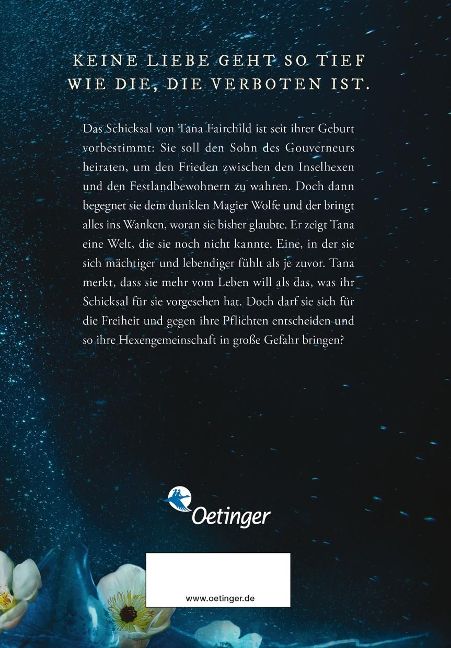 InsideView 5