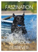Cover-Bild zum Titel 'Faszination Labrador Retriever (Wandkalender 2026 DIN A2 hoch), CALVENDO Monatskalender' von 'Sigrid Starick'