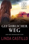 Cover-Bild zum Titel 'Gefährlicher Weg' von 'Linda Castillo'