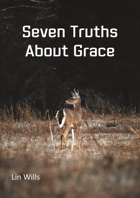 Seven Truths About Grace - Lin Wills