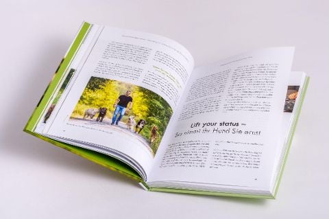 InsideView 5