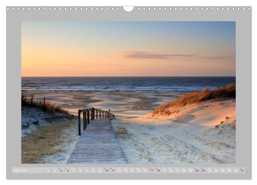 InsideView 12