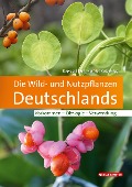 Cover-Bild zum Titel 'Die Wild- und Nutzpflanzen Deutschlands' von 'Ruprecht Düll, Herfried Kutzelnigg'
