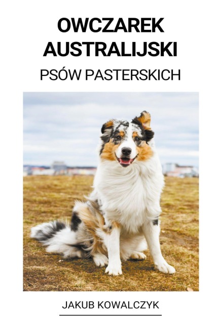 Owczarek Australijski (Psów Pasterskich) - Jakub Kowalczyk