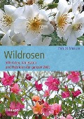 Cover-Bild zum Titel 'Wildrosen' von 'Patrick Masure'