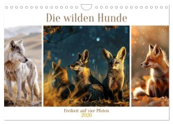 Cover-Bild zum Titel 'Die wilden Hunde (Wandkalender 2026 DIN A4 quer), CALVENDO Monatskalender' von 'Daniela Tapper'
