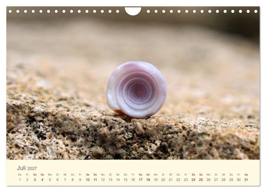 InsideView 12